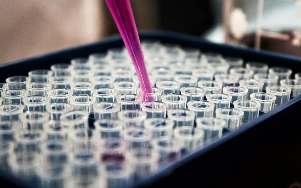 Pipette dispensing liquid into a laboratory sample tray.