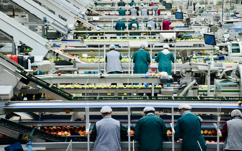 Workers on a food-processing production line.